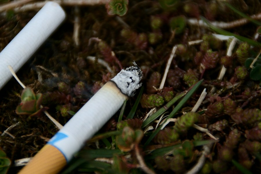 disposable vape