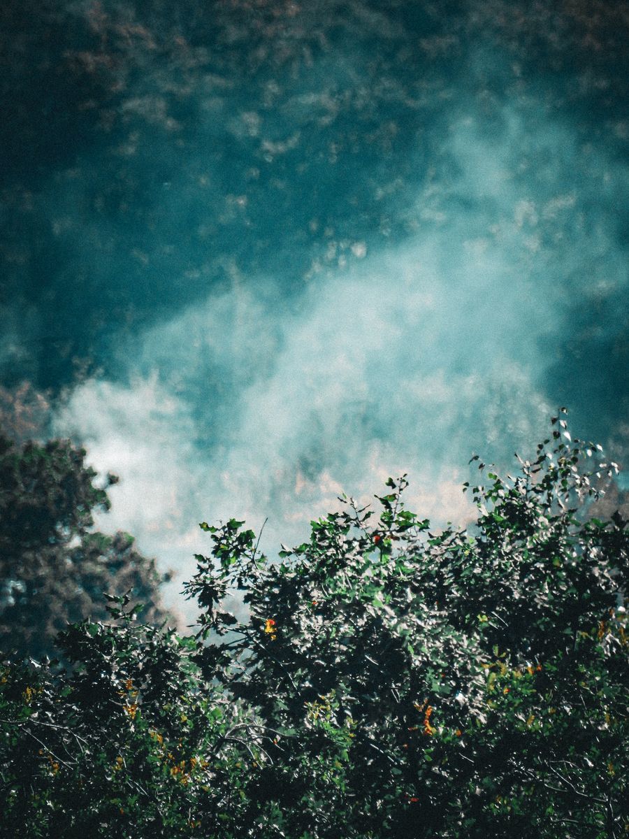 e-liquid
