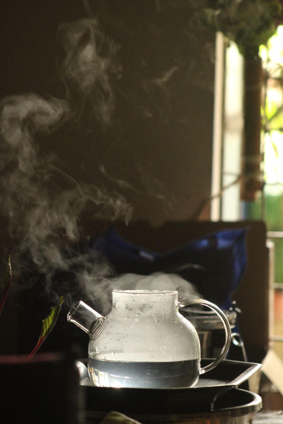 nicotine salt juice