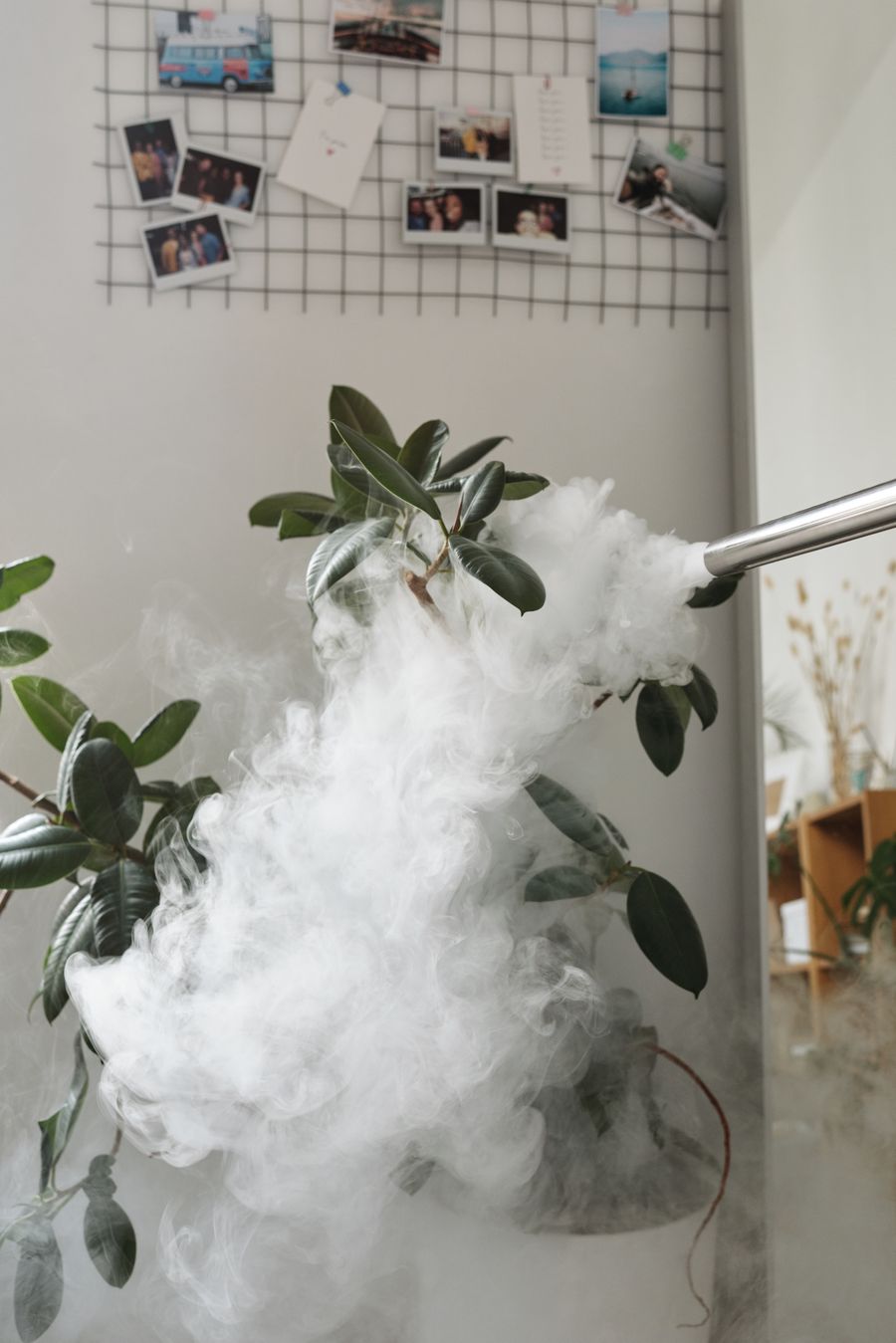 disposable vape