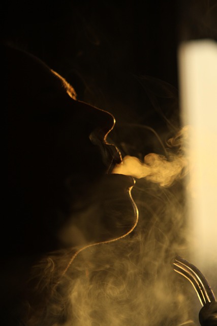 vape starter bundle