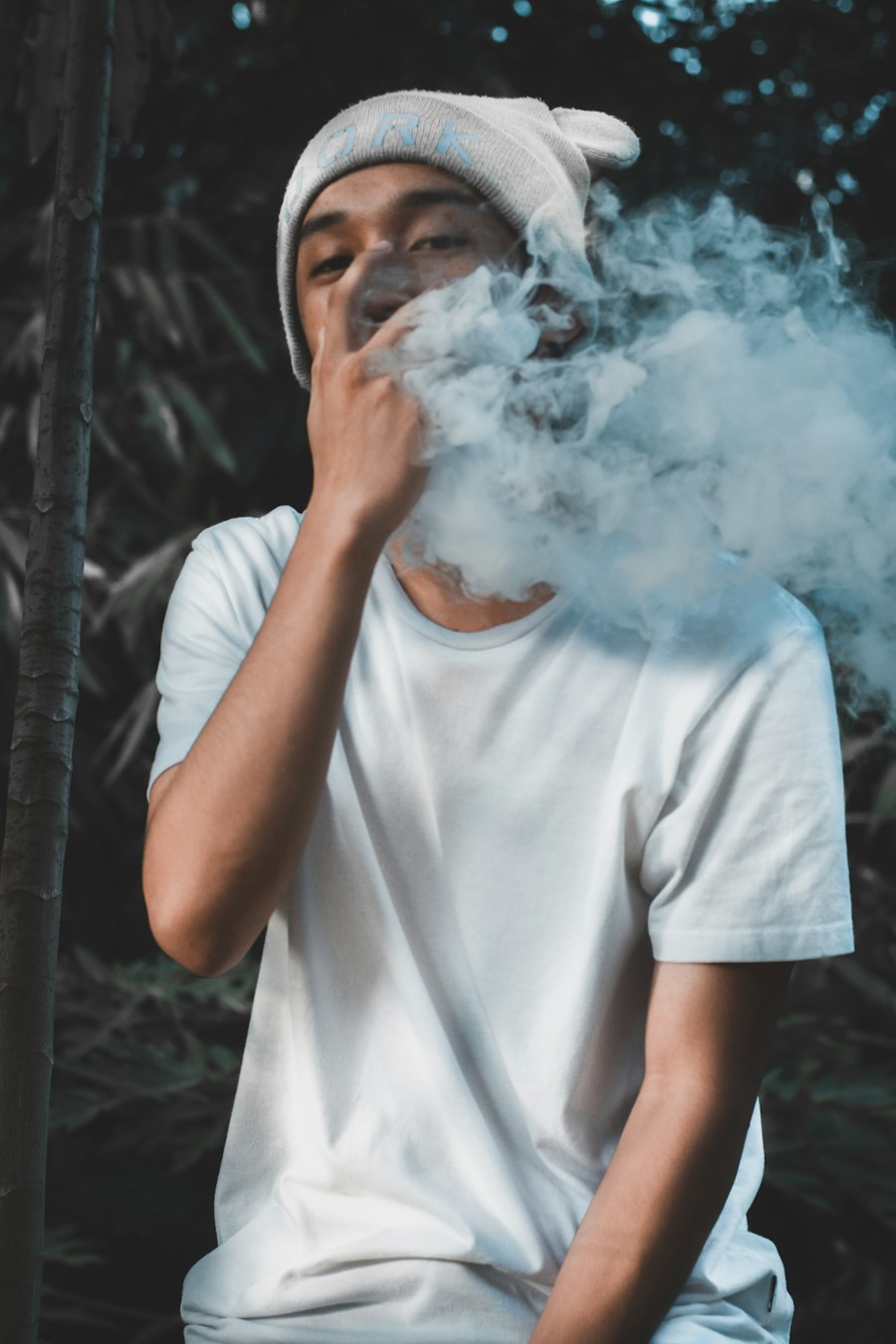 nicotine salt juice